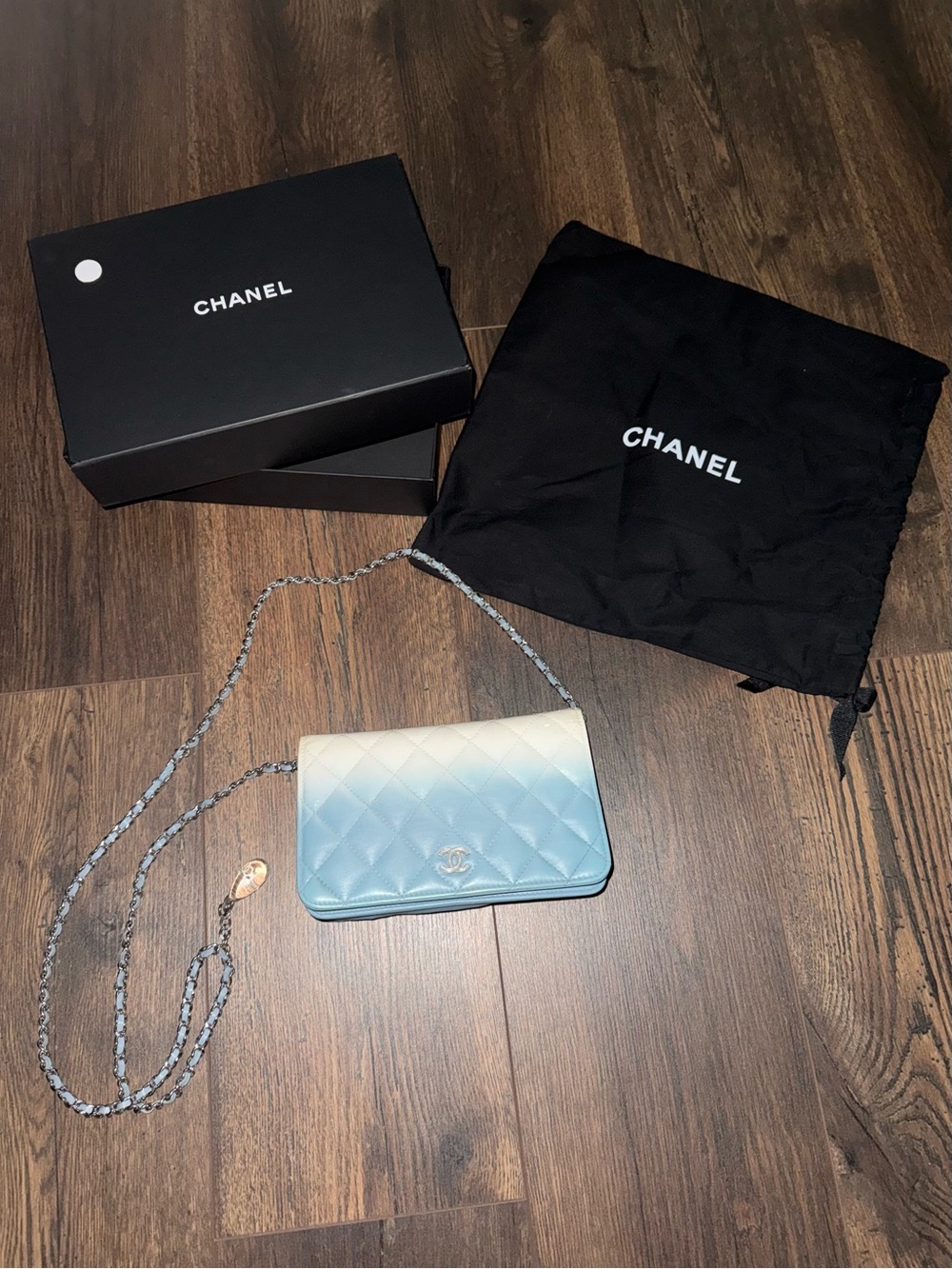✨ AUTHENTIC CHANEL CC OMBRÉ CRYSTAL WALLET ON CHAIN ✨